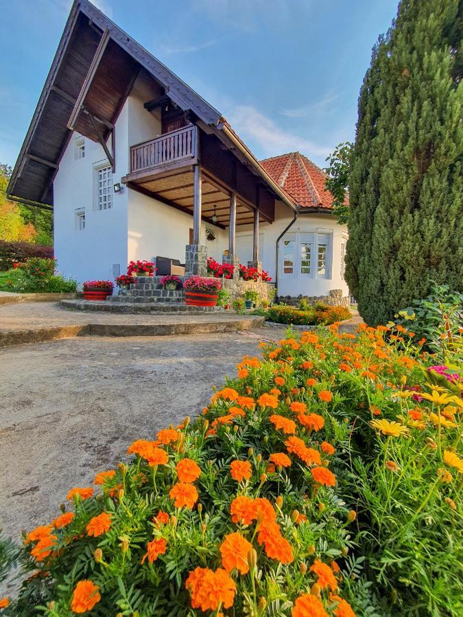 Villa Mira Mackat ภายนอก รูปภาพ