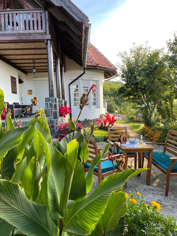Villa Mira Mackat ภายนอก รูปภาพ